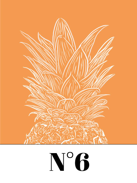 ventre illustration ananas