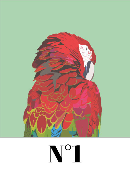 vente d'illustration numérique